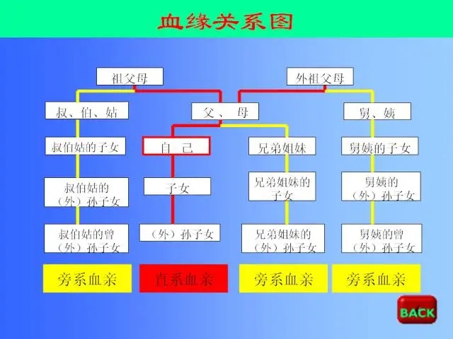 《血亲》电影解说文案